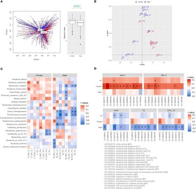 The association between flagellin producers in the gut microbiota and HDL-C level in humans